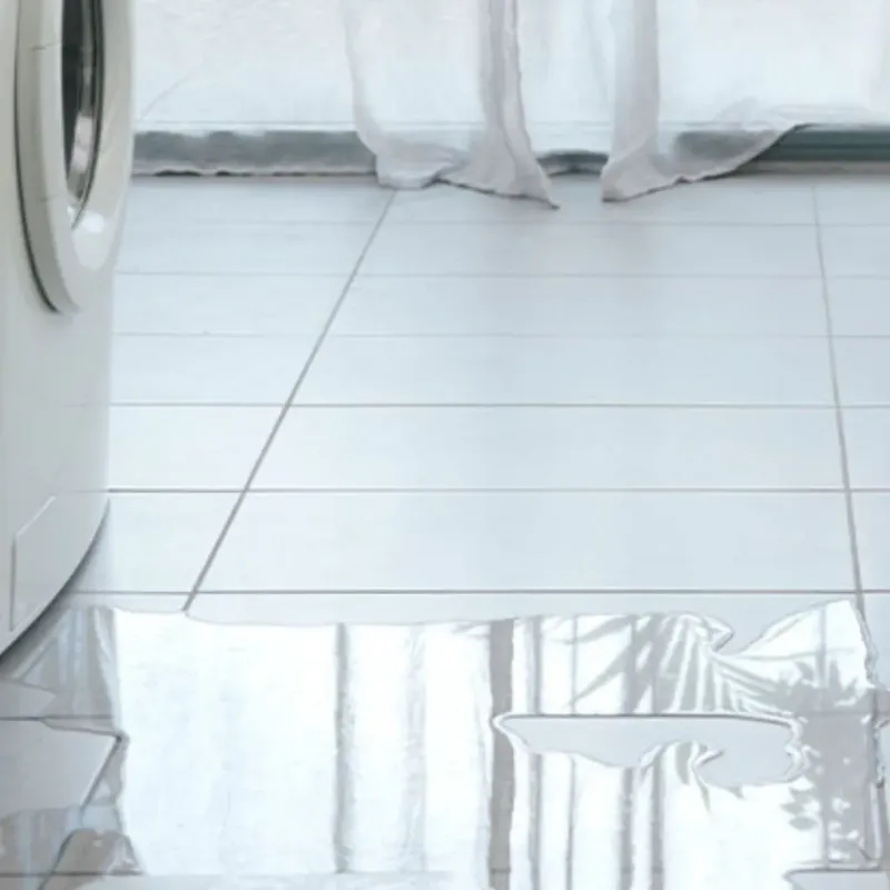 Appliance Leak Cleanup in Morgan County, WV