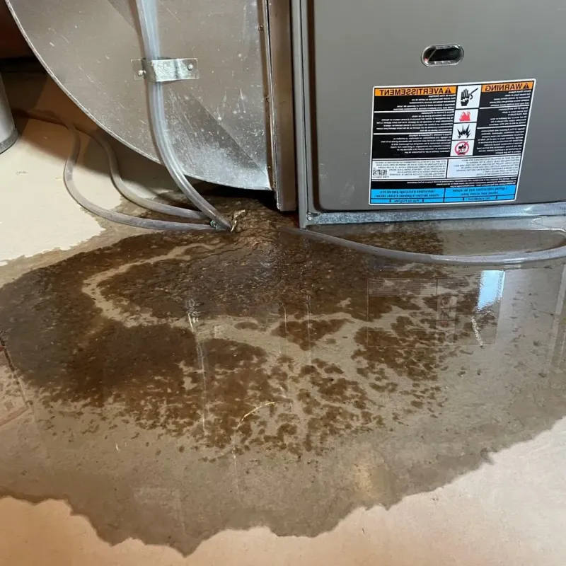Pipe Burst and Leak Restoration in Morgan County, WV