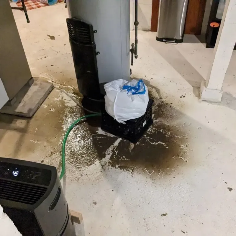 Sewage Backup Cleanup Service in Morgan County, WV